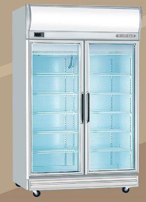 Tủ đông Berjaya 2 cánh 976 lít 2D/DF-S-EV