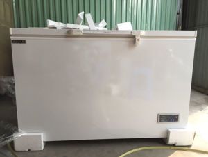 Tủ đông Unique 1 ngăn 287 lít FD-340-SF