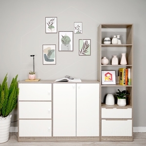 Tủ giầy gỗ xoan đào Hoàng Anh Gia Lai MS-26