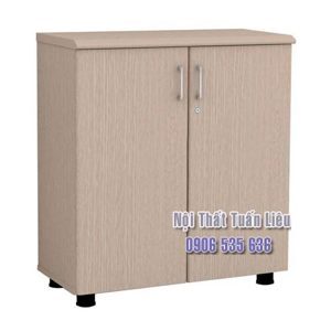 Tủ gỗ tài liệu Hòa Phát NT880D