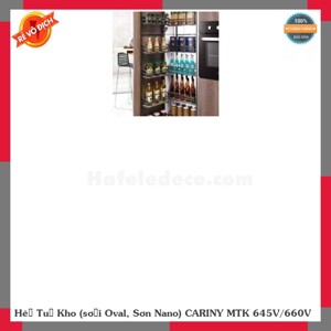 Tủ kho Cariny MTK-645V