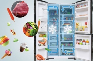 Tủ lạnh Beko Inverter 221 lít RDNT250I55VZX