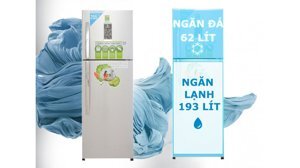 Tủ lạnh Electrolux 260 lít ETB2600PE