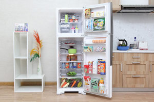 Tủ lạnh Hitachi 225 lít R-T230EG1