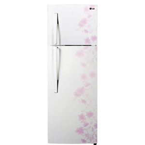 Tủ lạnh LG Inverter 272 lít GN-L272BS