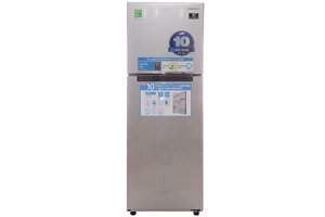 Tủ lạnh Samsung Inverter 234 lít RT22FARBDSA