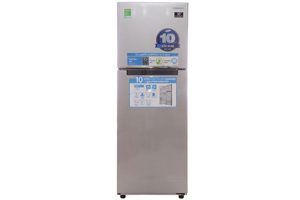 Tủ lạnh Samsung Inverter 234 lít RT22FARBDSA