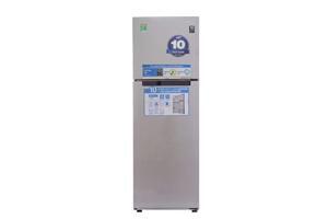 Tủ lạnh Samsung Inverter 255 lít RT25HAR4DSA/SV