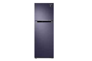 Tủ lạnh Samsung Inverter 256 lít RT25M4033UT/SV