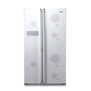 Tủ lạnh LG 528 lít GR-B227BSJ