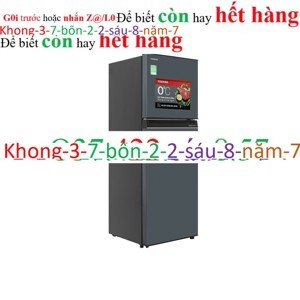 Tủ lạnh Toshiba Inverter 233 lít GR-RT303WE-PMV(52)