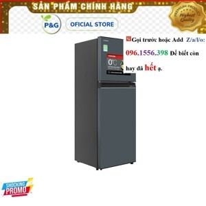 Tủ lạnh Toshiba Inverter 233 lít GR-RT303WE-PMV(52)