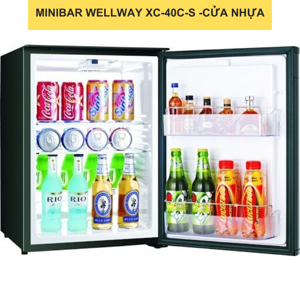 Tủ lạnh Wellway 40 lít XC-40C-S