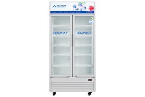 Tủ mát Hòa Phát 2 cánh 723 Lít HSR D6723