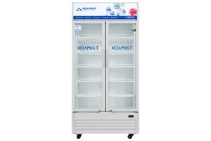 Tủ mát Hòa Phát Inverter 2 cánh 723 Lít HSR D8723