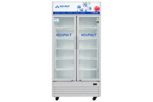 Tủ mát Hòa Phát Inverter 2 cánh 812 Lít HSR D8812