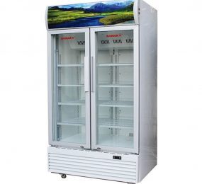 Tủ mát Sanaky 2 cánh 1200 lít VH-1209HP2