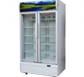 Tủ mát Sanaky 2 cánh 600 lít VH-6009HPNK