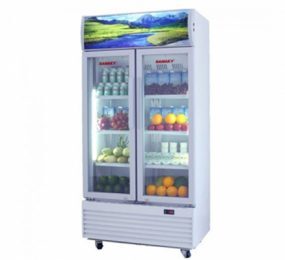 Tủ mát Sanaky 2 cánh 600 lít VH-609HP