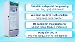 Tủ mát Sanaky Inverter 1 cánh 290 lít VH-358K3L