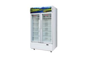 Tủ mát Sanaky inverter 2 cánh 1200 lít VH-1209HP3