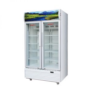 Tủ mát Sanaky Inverter 2 cánh 1000 lít VH-1009HP3