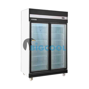 Tủ mát Berjaya 2 cánh 976 lít 2D/DC-BH-1-G