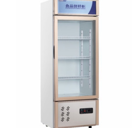 Tủ mát trưng bày 1 cánh kính Snow Village LC-138
