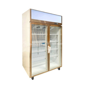 Tủ mát trưng bày 2 cánh kính có quạt lạnh Snow Village LC-1200AF
