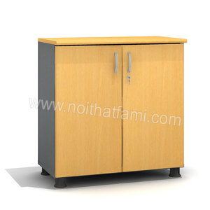 Tủ Tài Liệu Fami SM6220FH