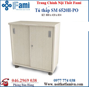 Tủ tài liệu Fami SM6520H
