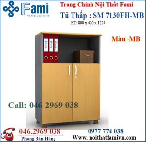 Tủ Tài Liệu Fami SM7130FH