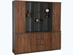 Tủ tài liệu Luxury LUXT2420V3