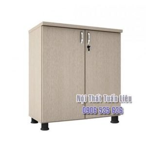 Tủ tài liệu SME6220