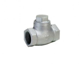 Van 1 chiều nối ren Inox BS 1868