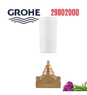 Van Âm Grohe 29802000