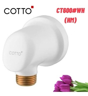 Van bắt dây sen tắm Cotto CT600#BL (GR/WH)