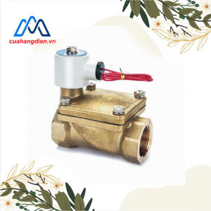 Van điện từ Autosigma HPW2180