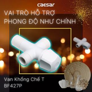 Van khống chế chữ T Caesar BF427 - Bằng Inox