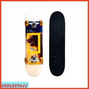 Ván trượt Skate 950-08