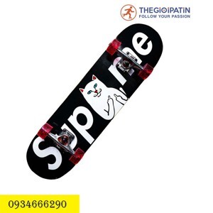 Ván trượt Skate Board 1000-18