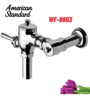 Van xả bồn cần gạt American Standard WF-9803