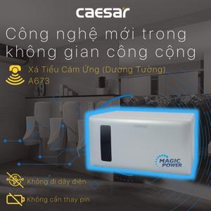 Van xả cảm ứng Tiểu nam Caesar A673