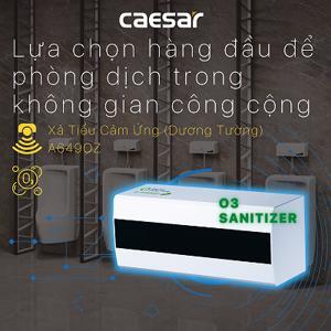 Van xả tiểu nam Caesar A649OZ