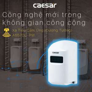 Van xả tiểu nam Caesar A657DC