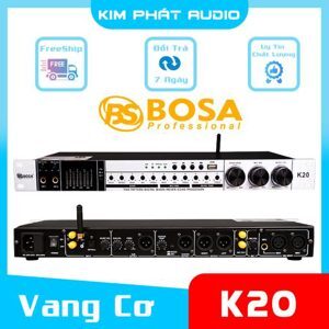 Vang cơ karaoke Bosa K20