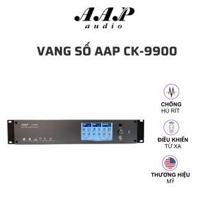 Vang Số AAP CK-9900