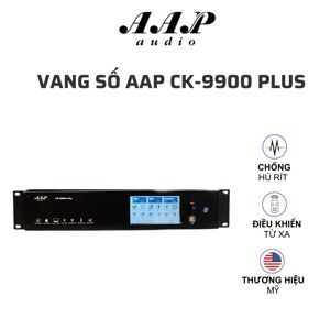 Vang Số AAP CK-9900
