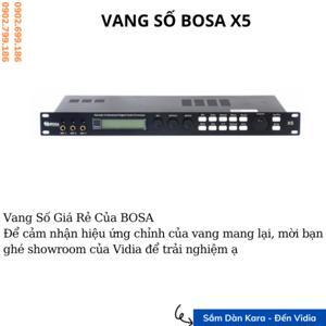 Vang số Bosa X5