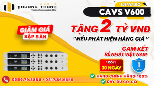 Vang số CAVS V600